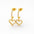 Star Earrings