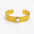 Fundamental Ring