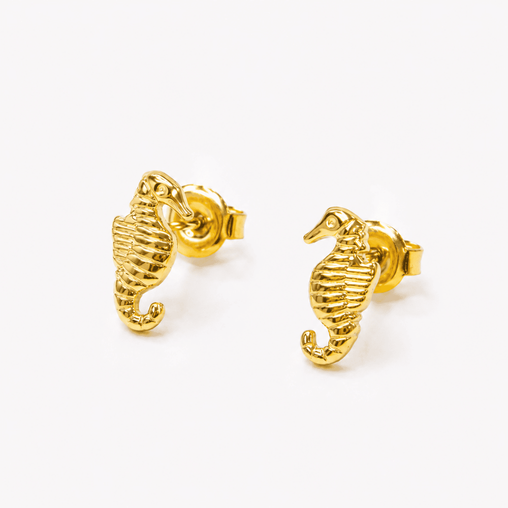 Boucles Hippocampe