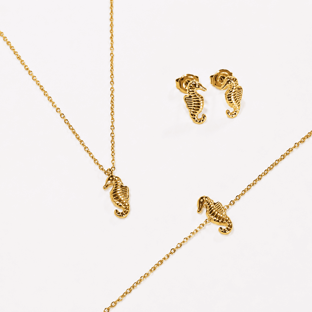 Seahorse Box Set