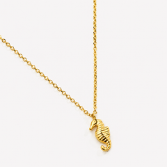 Collier Hippocampe