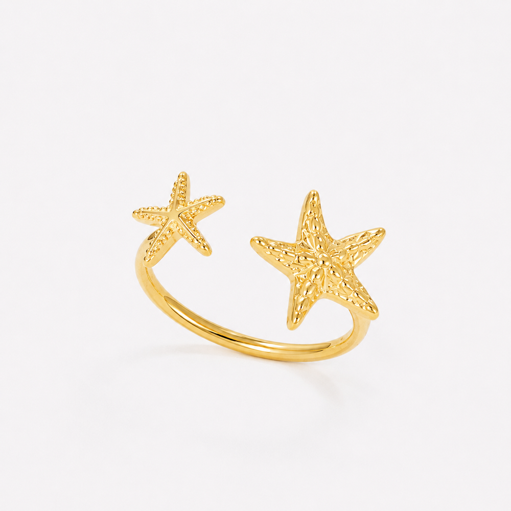 Bague Méridienne