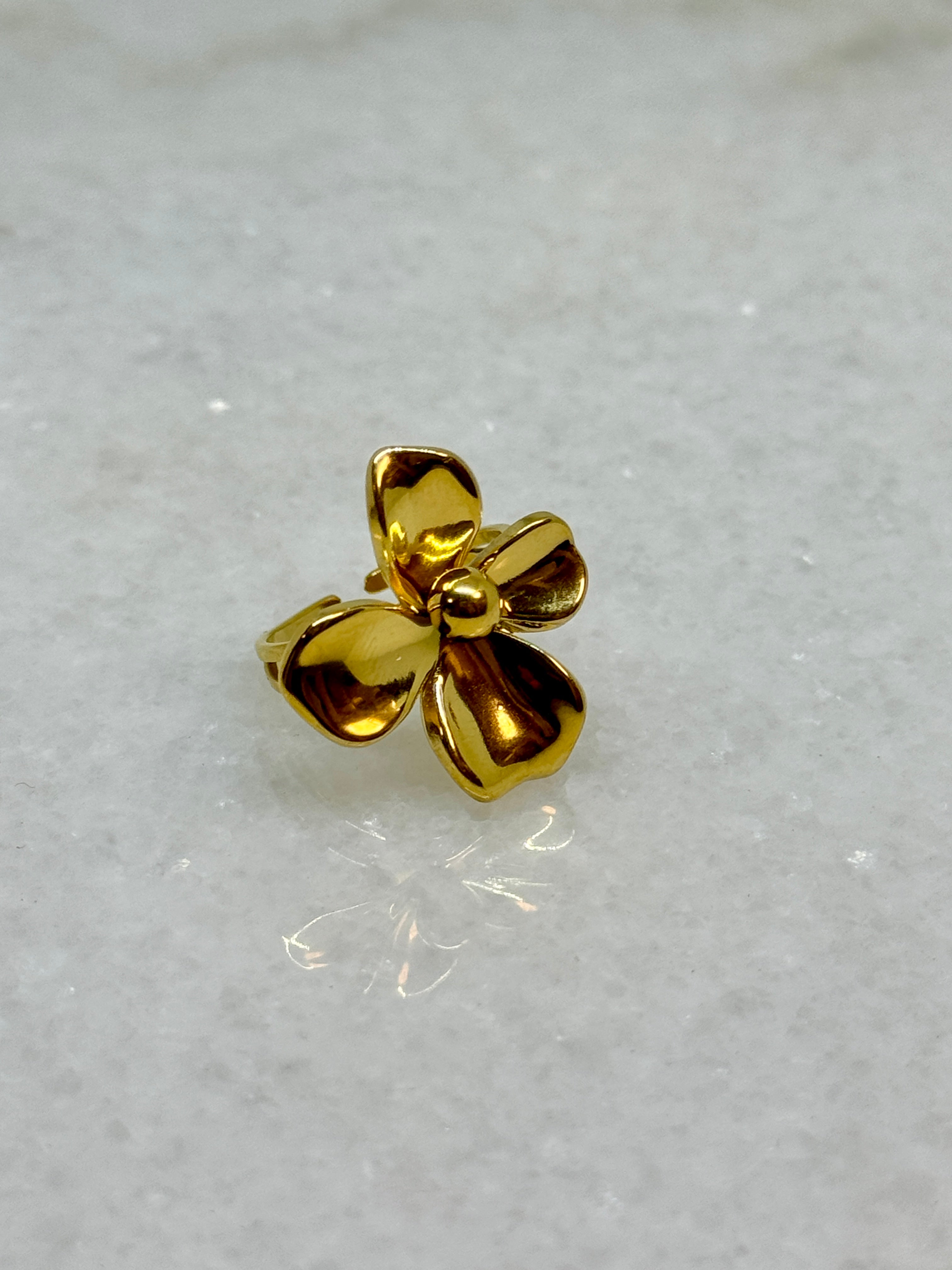 Poudré Bijoux