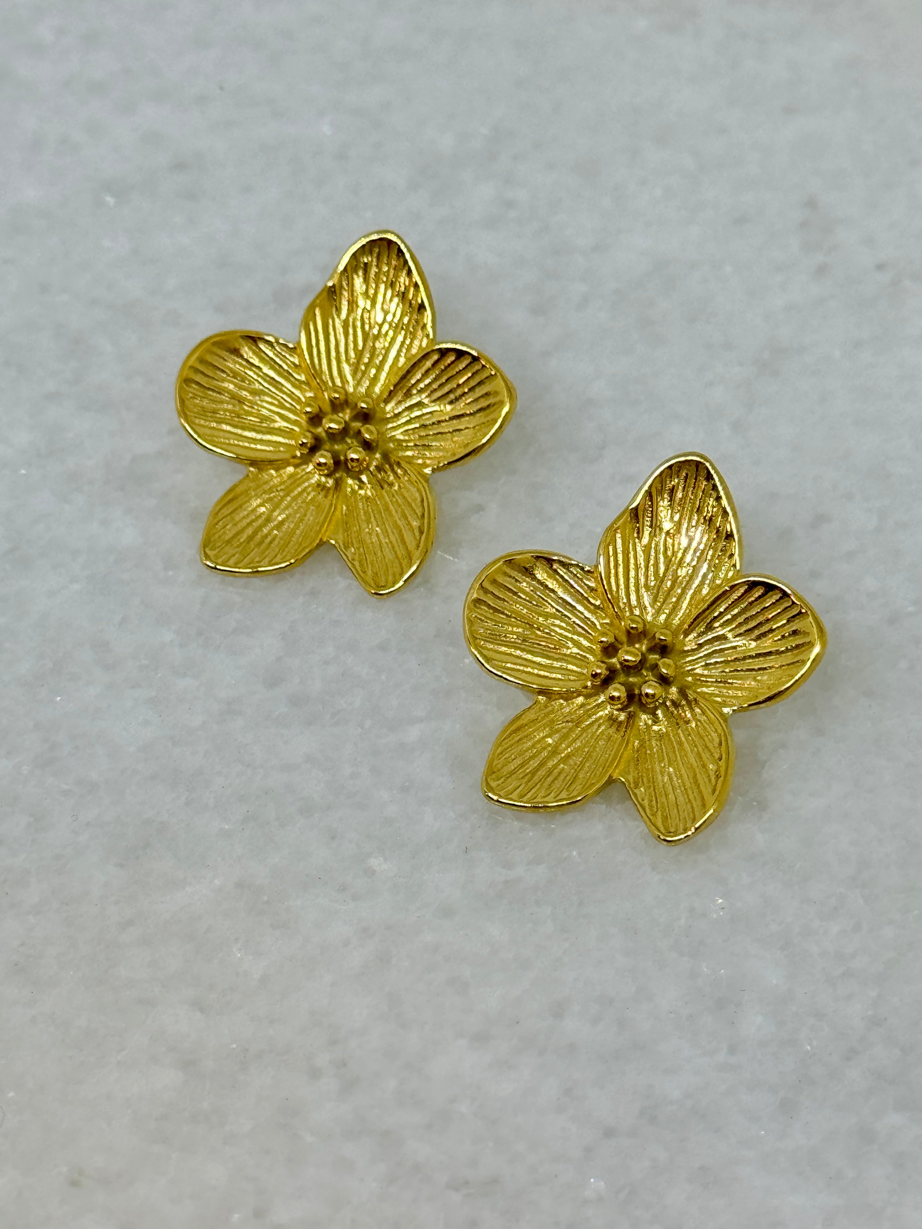 Poudré Bijoux